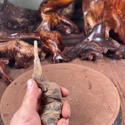 黄花梨/降香黄檀自**?