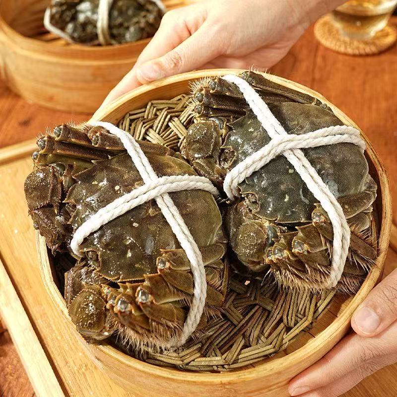 江苏鲜活母蟹 2.6-2.3两 6只装 河蟹加关注送2只