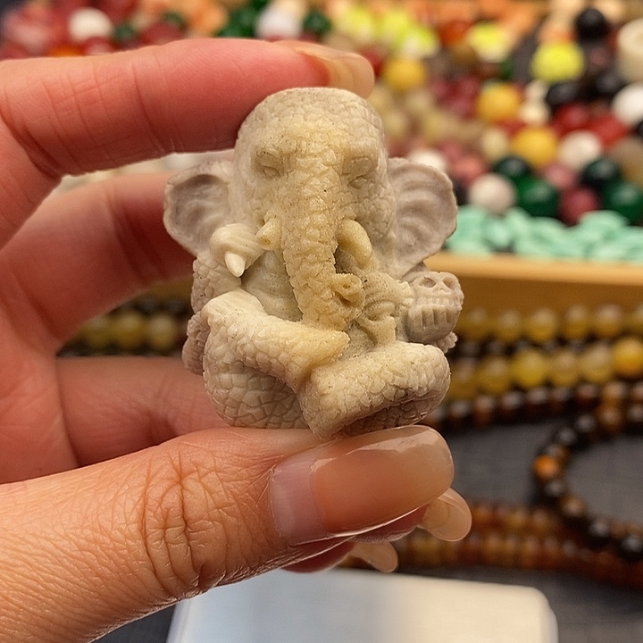 大果紫檀（缅甸花梨）