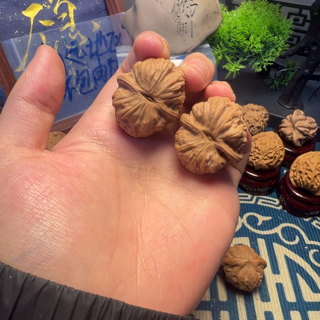 31尺全品无修手捻白狮子