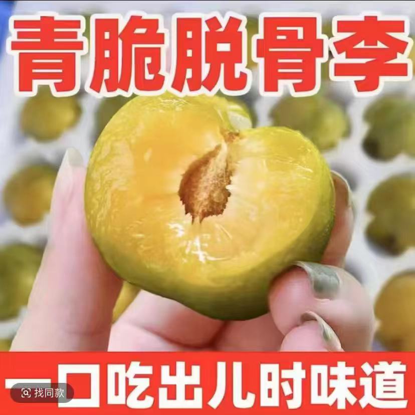 云南高原【青脆脱骨李】现摘新鲜应季水果清脆酸甜爽口孕妈水果