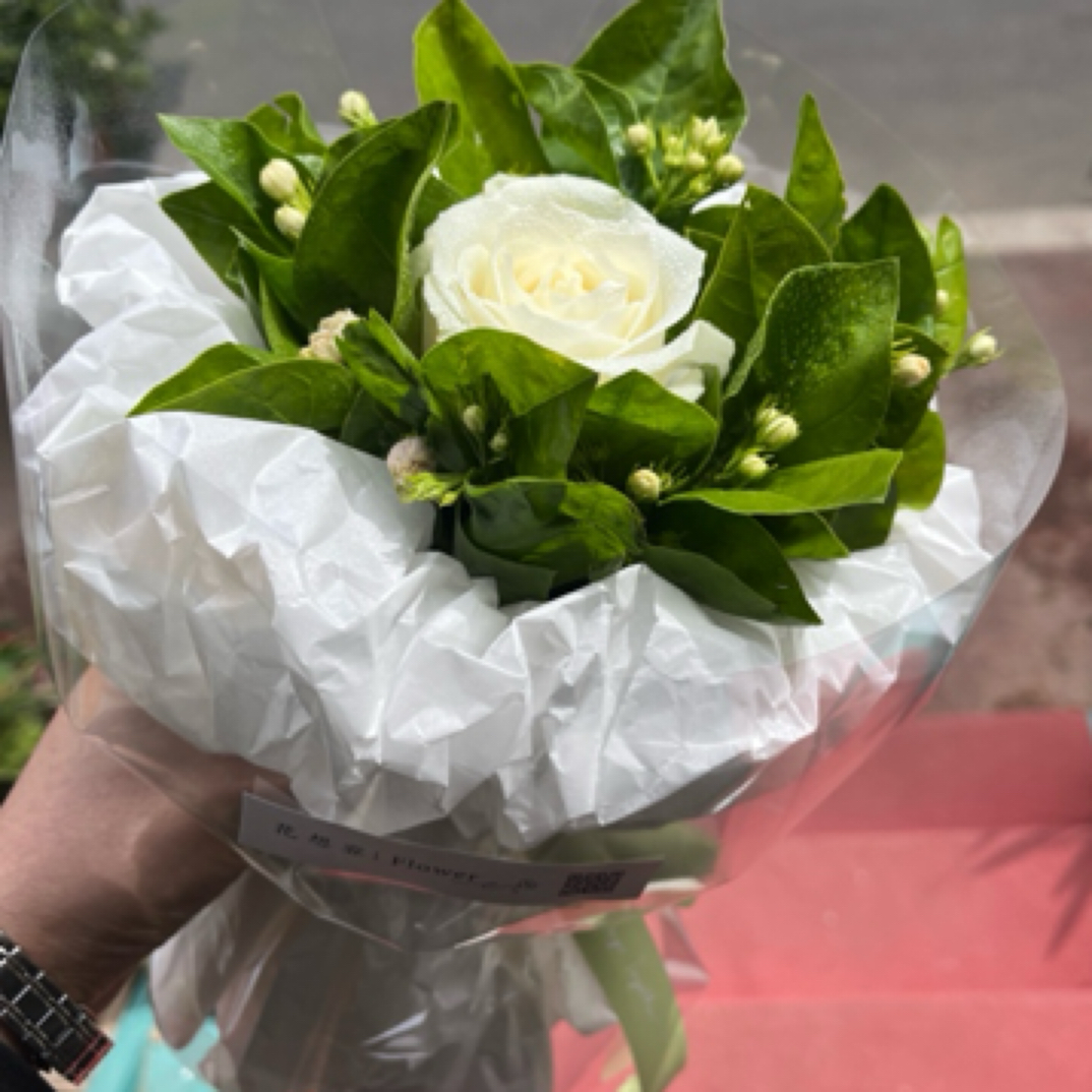 白玫瑰茉莉送君茉莉，愿君莫离