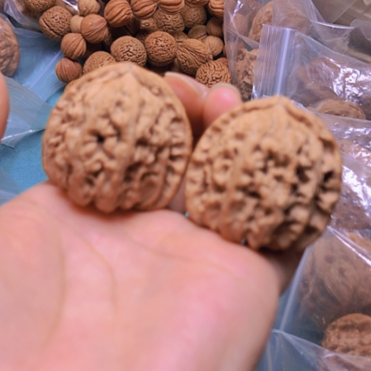【闪购商品】核桃手串/手链37白狮子修尖