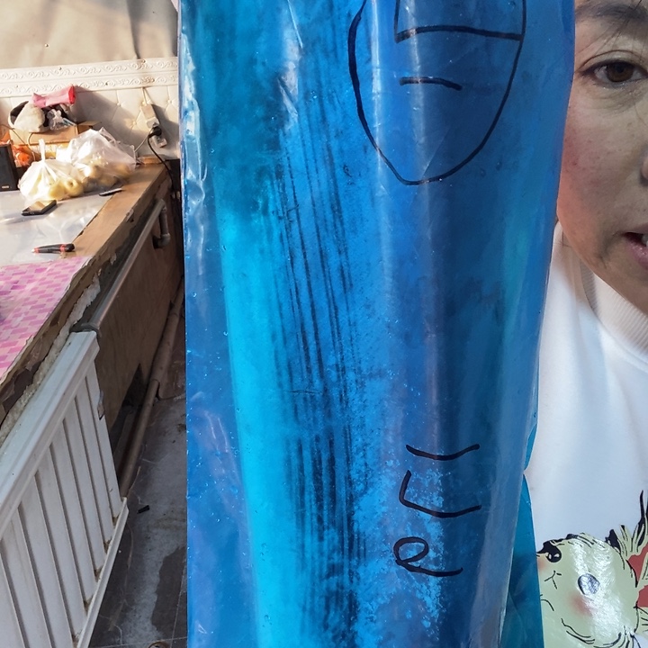 福***家中国大陆渤海湾野生燕鲅鱼71号