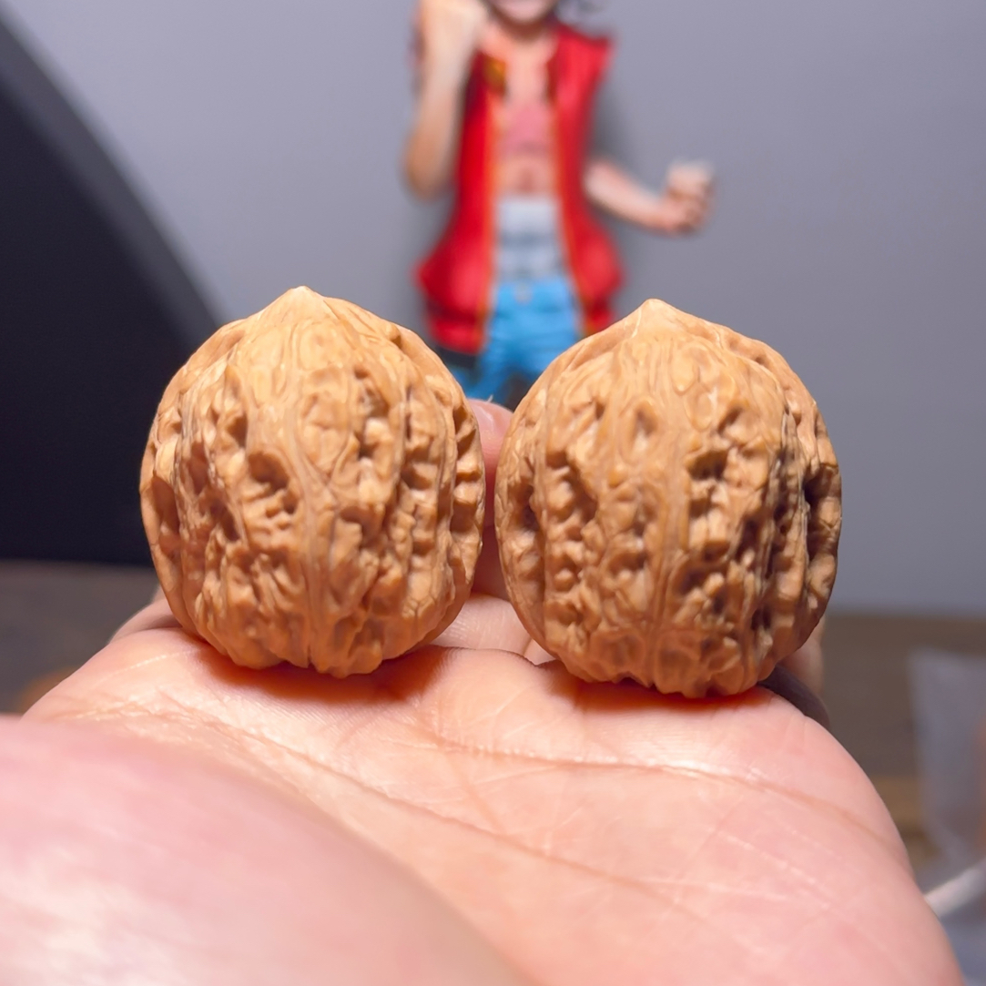 全品野生小众原树小墩子