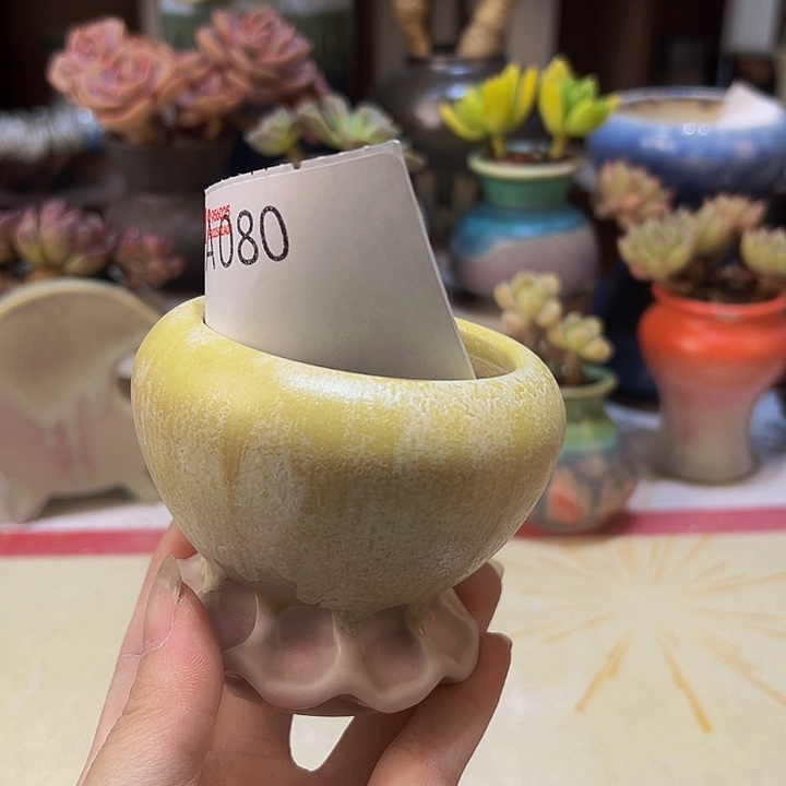 景德镇陶瓷研究所