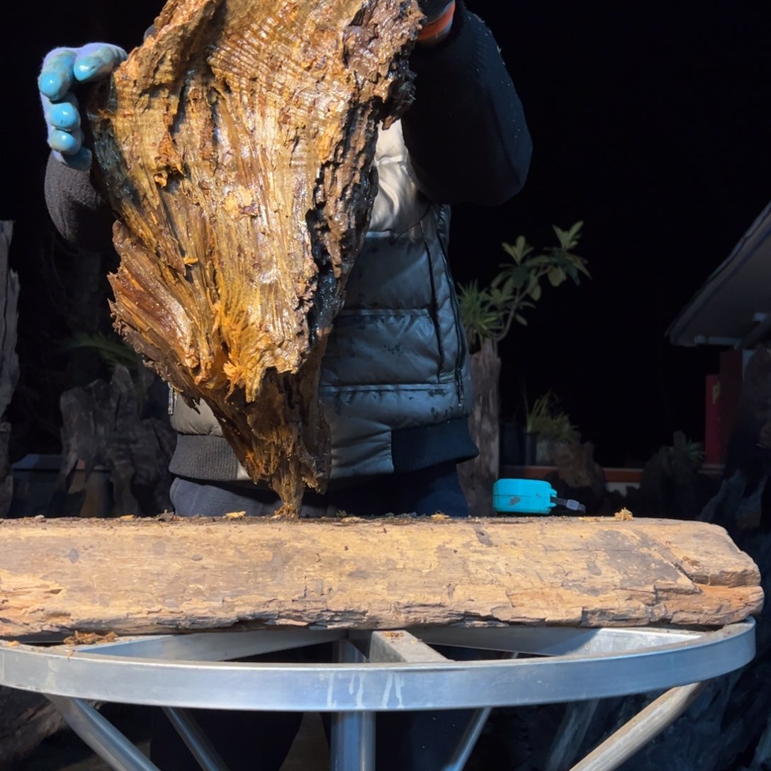 阴沉木※****愁金丝楠木根料摆件等