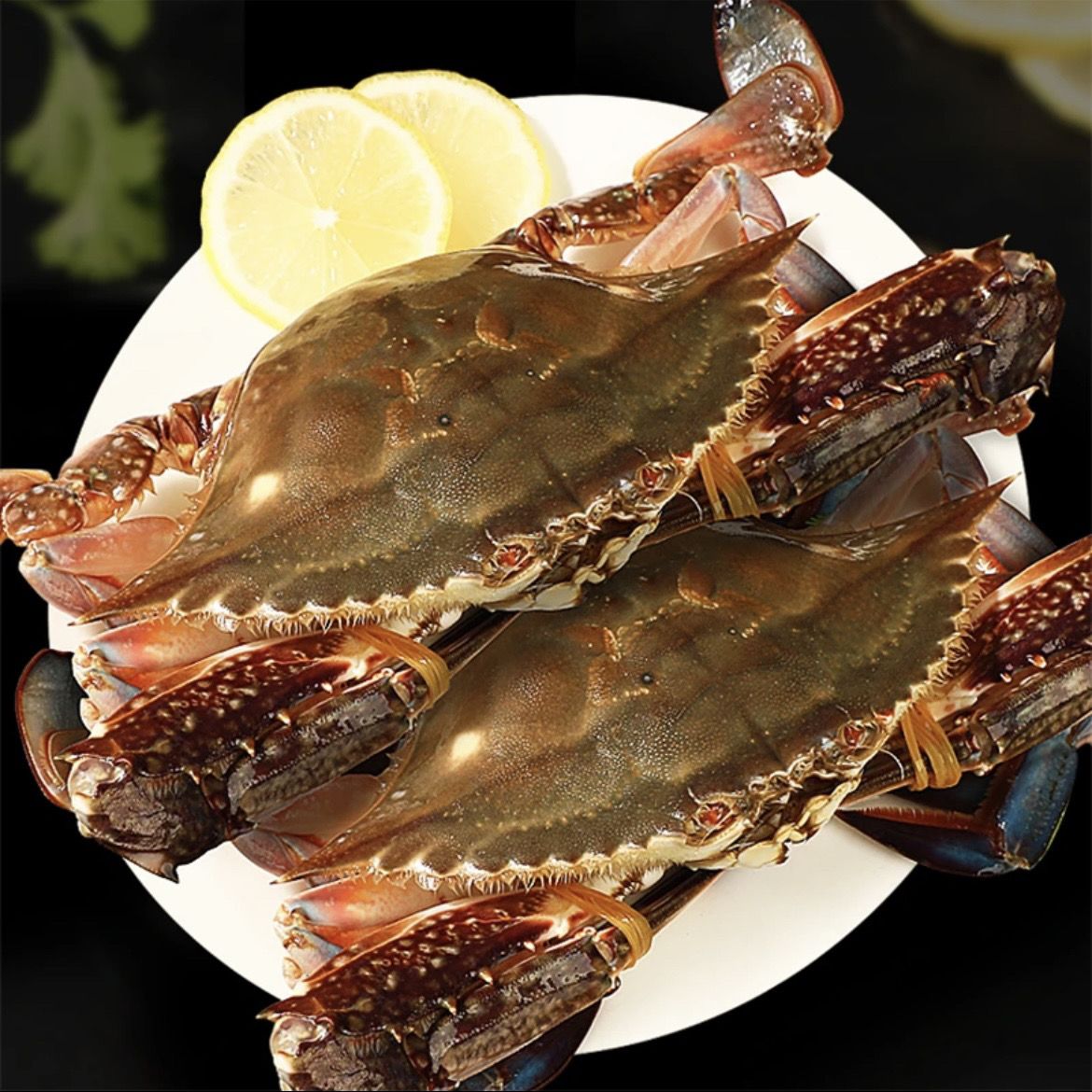 《特惠》鲜活梭子蟹，斤数可选，保鲜不包活海鲜梭子蟹同城