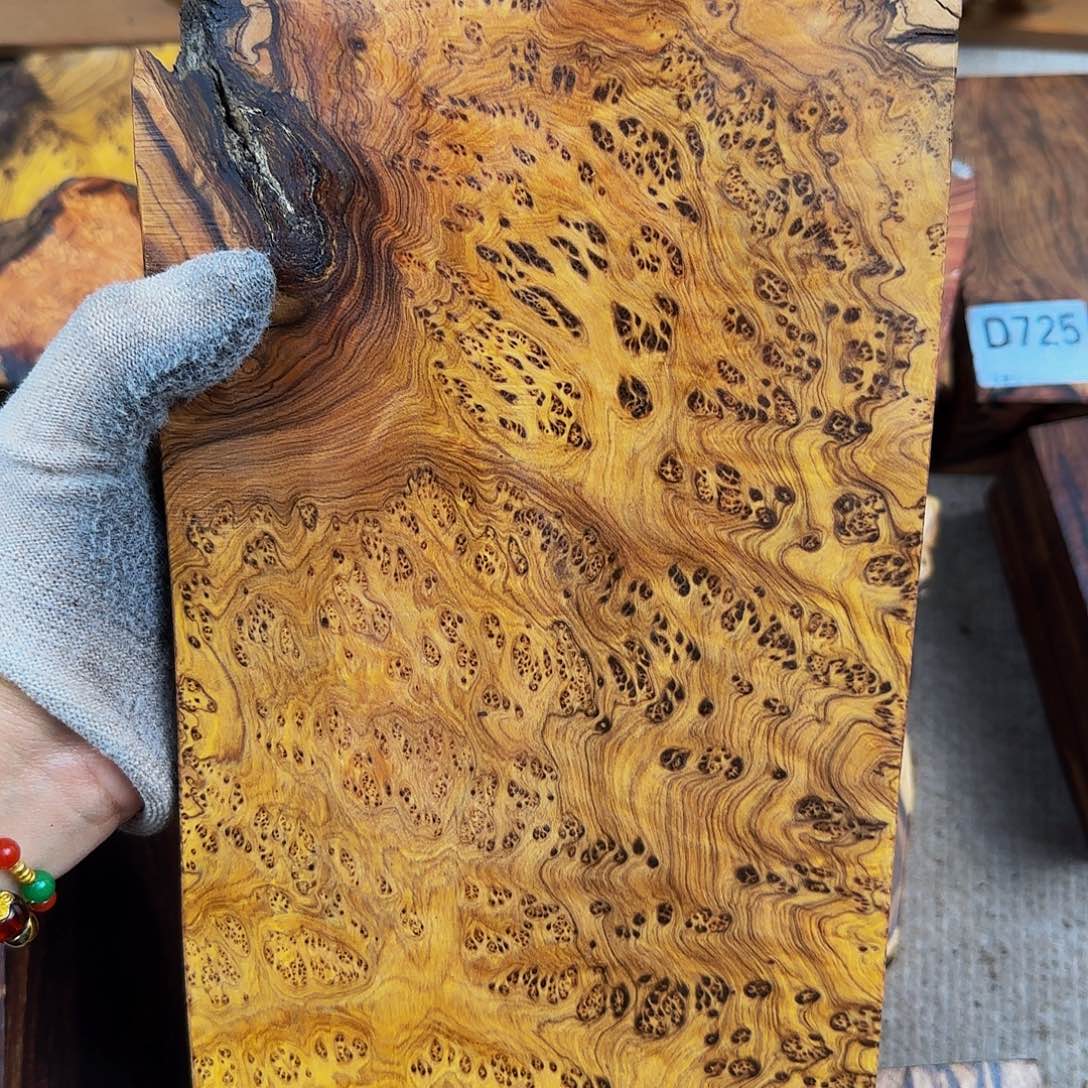 木韦*鬼柳尖叶木栖榄树