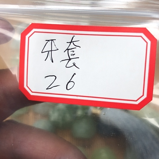蛇纹石玉颈饰合金牙****?