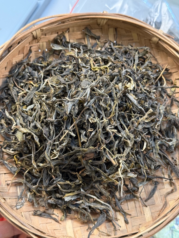 冰岛坝歪45号 24年春茶大树。14克散茶两泡试喝装