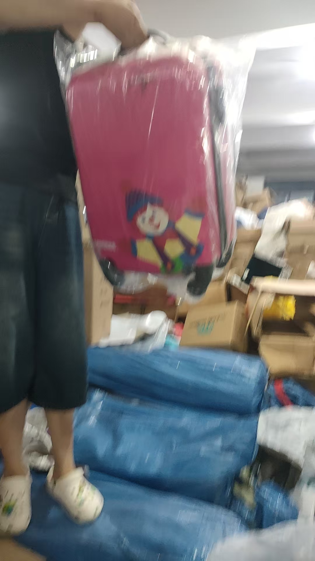 树莓粉猫猫高端拉链款行李箱20寸