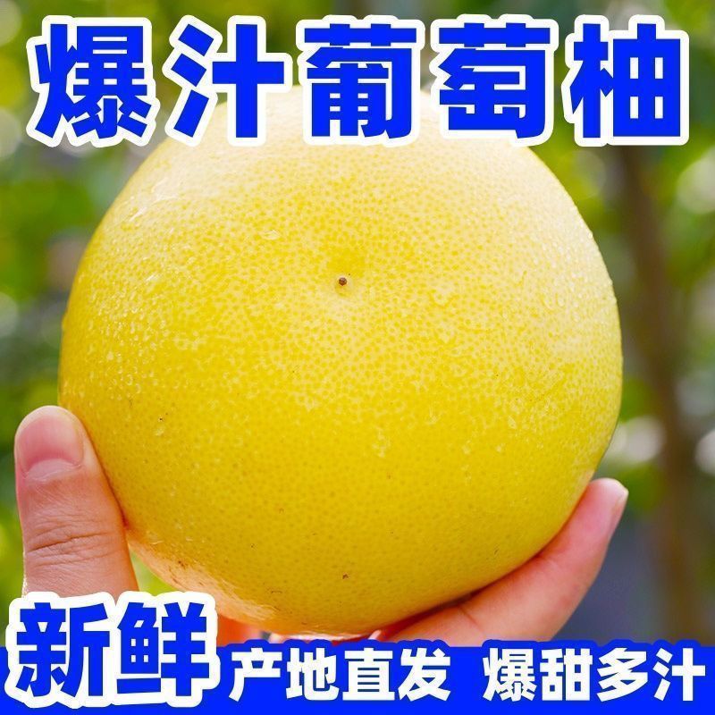 福建平和正宗黄金葡萄柚新鲜采摘发货一整箱宝妈喜欢甜蜜爆汁榨汁