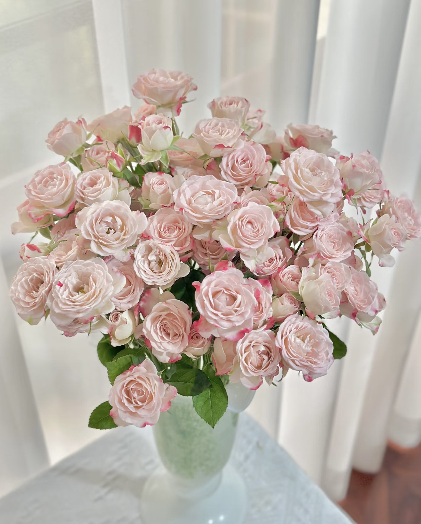 折射多头泡泡多头玫瑰云南鲜花批发基地直发家用水养观赏鲜花