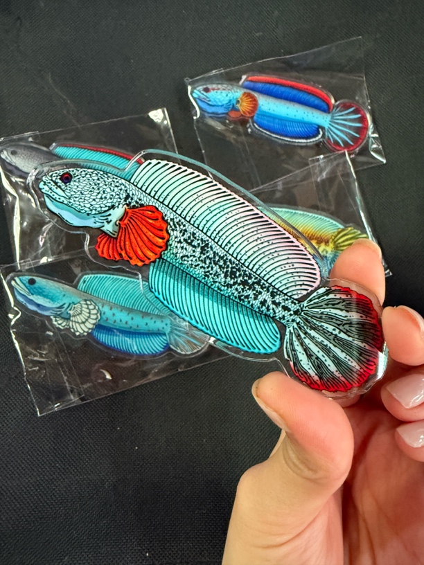 雷龙鱼 原创 手绘 