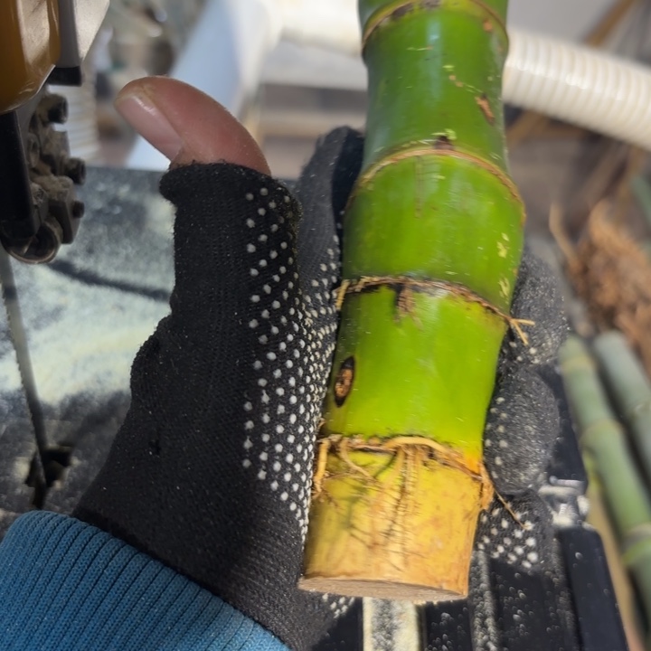 南***方实心竹竹竹 竹竹竹竹竹竹竹