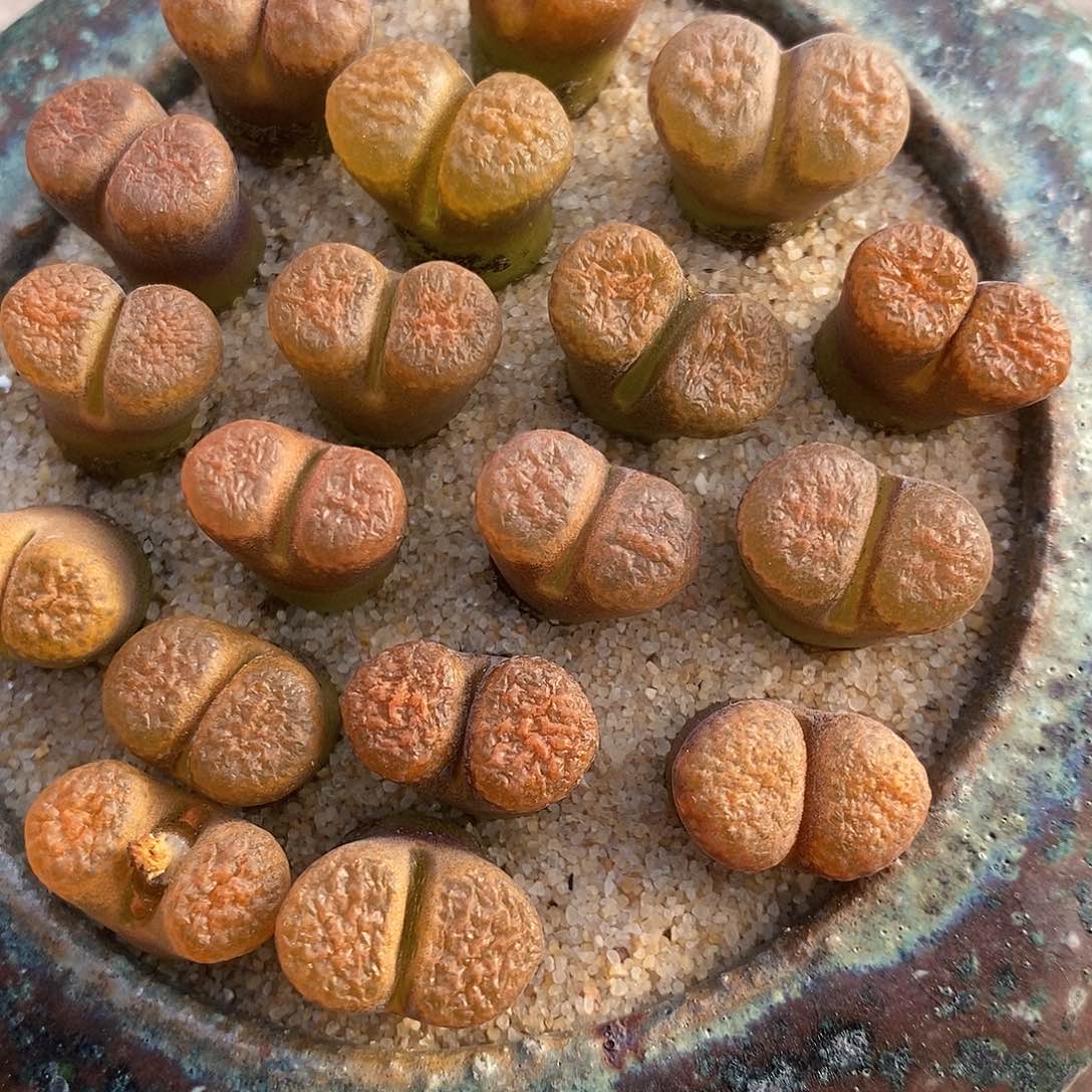 2743超级蛋糕风铃一组。 