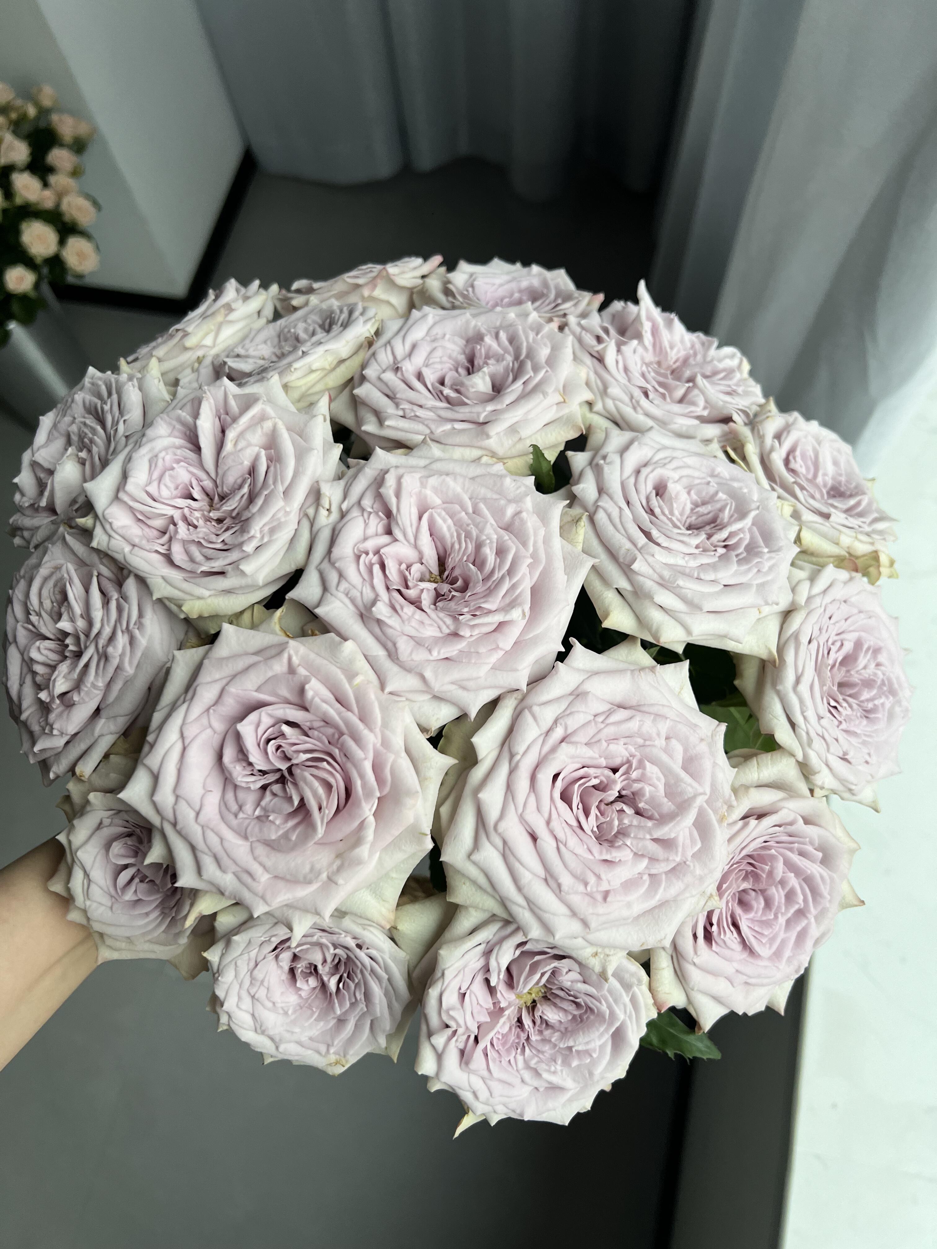 套餐38 魔法乐章玫瑰10支+粉紫混小菊3支+时尚太子多头康乃馨10支