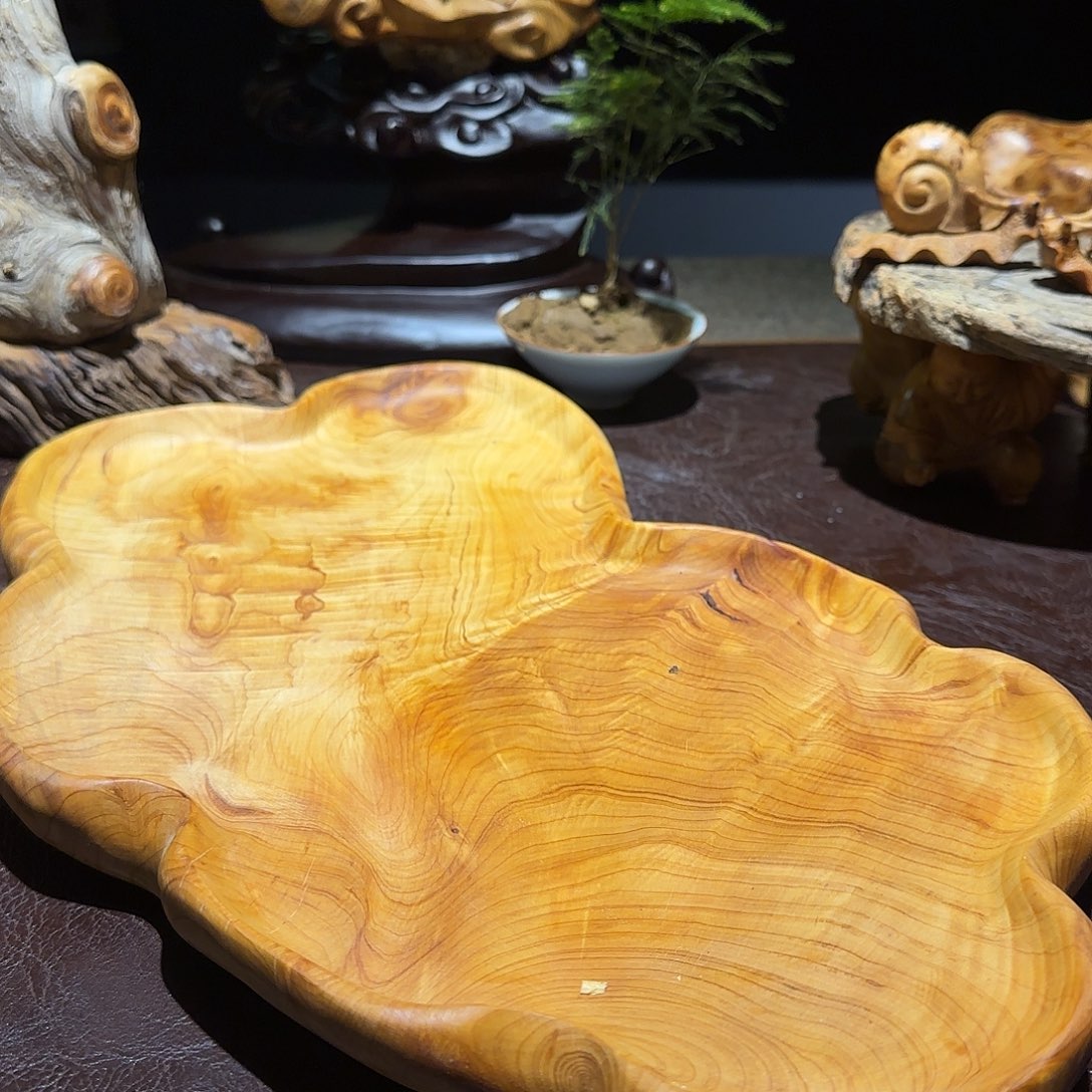 柏木（崖柏）太行集团董事