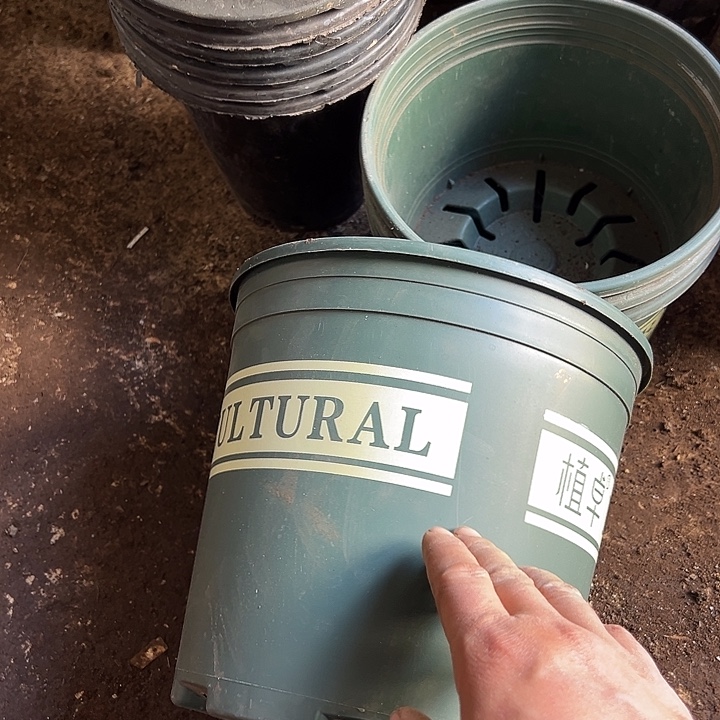 加仑盆口径22高21发6了