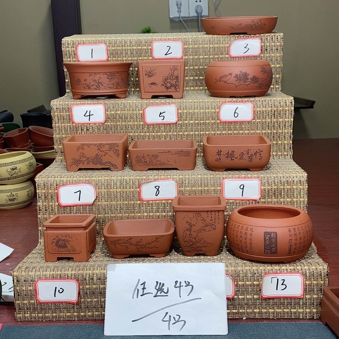 紫砂花盆我在等一