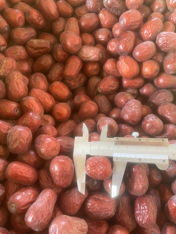 新和田大枣2.5cm左右原生态不清洗不加工产地直发养生佳品嘎嘎干