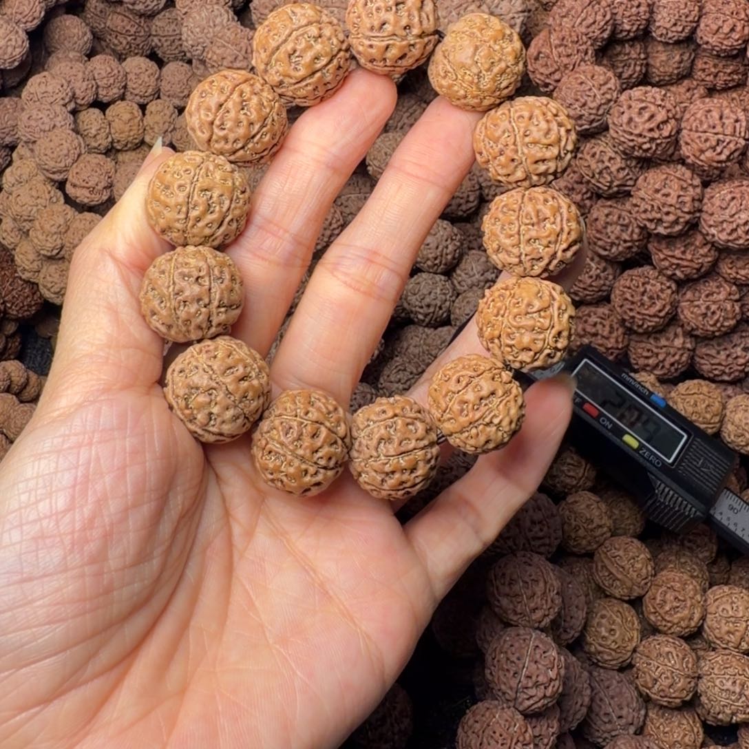 手串金刚菩提7瓣卡18尺，18号