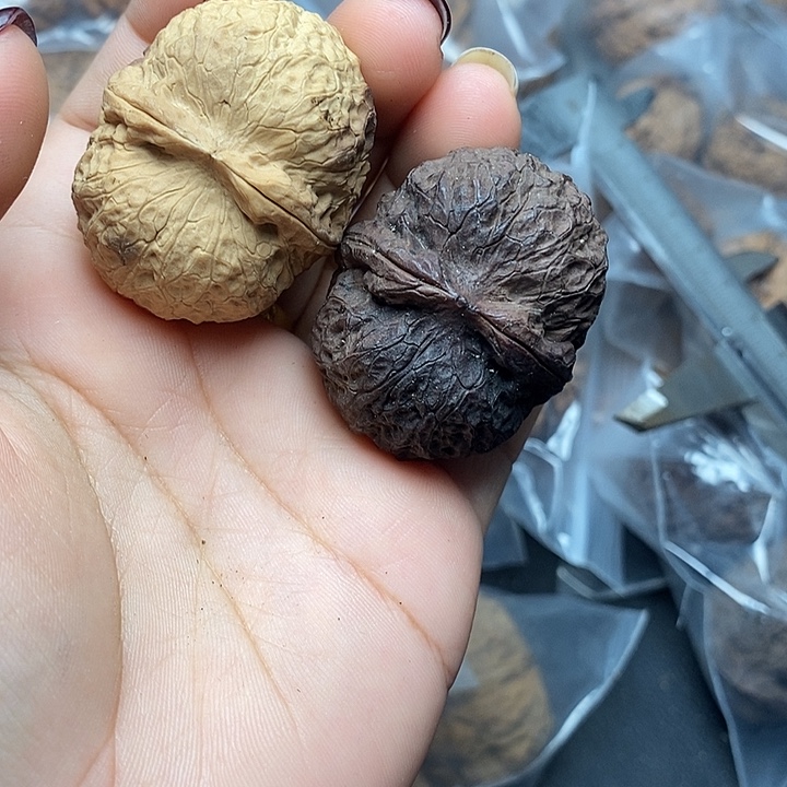 文玩核桃把件     25