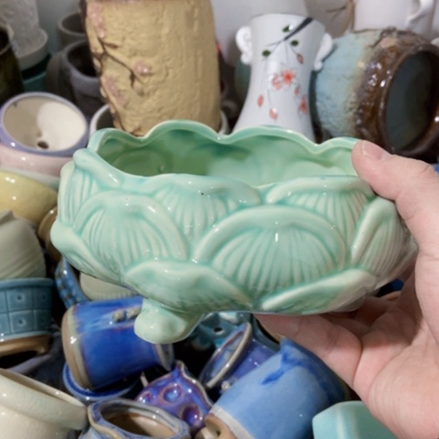 红陶订单凑满12包邮