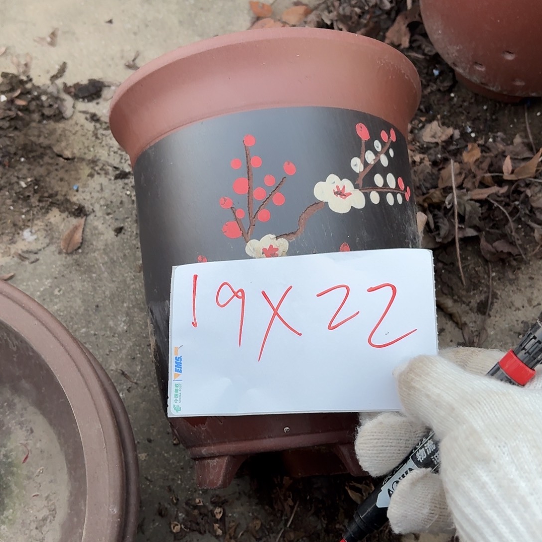 花盆紫砂22222222