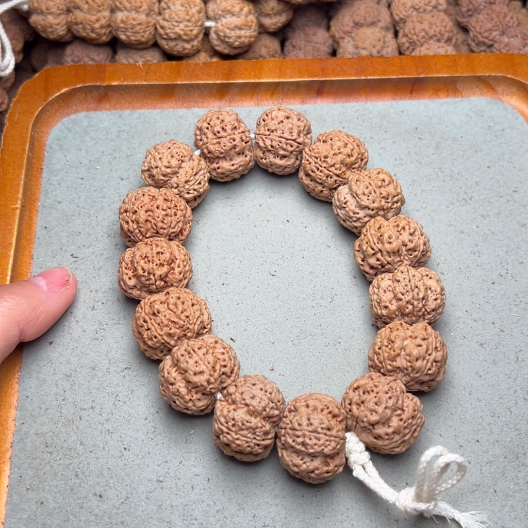 菩提6号金刚菩提安娜梅花23