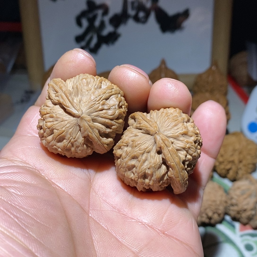 文玩核桃把件35尺尺狮子