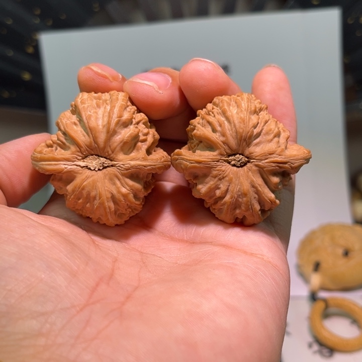 吹***以把件文玩核桃41白狮子