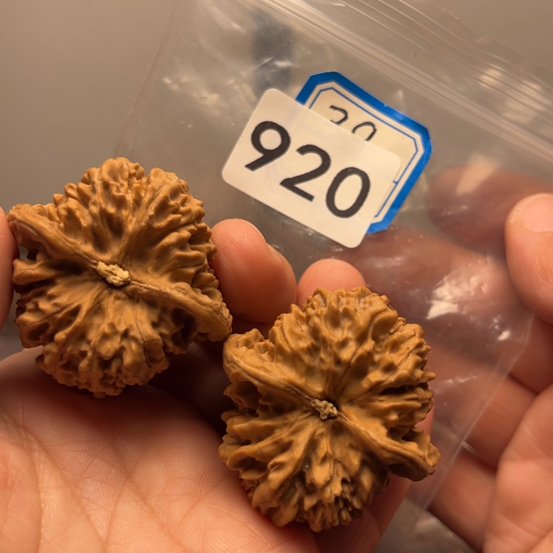 吊坠文玩核桃你**震满天星39