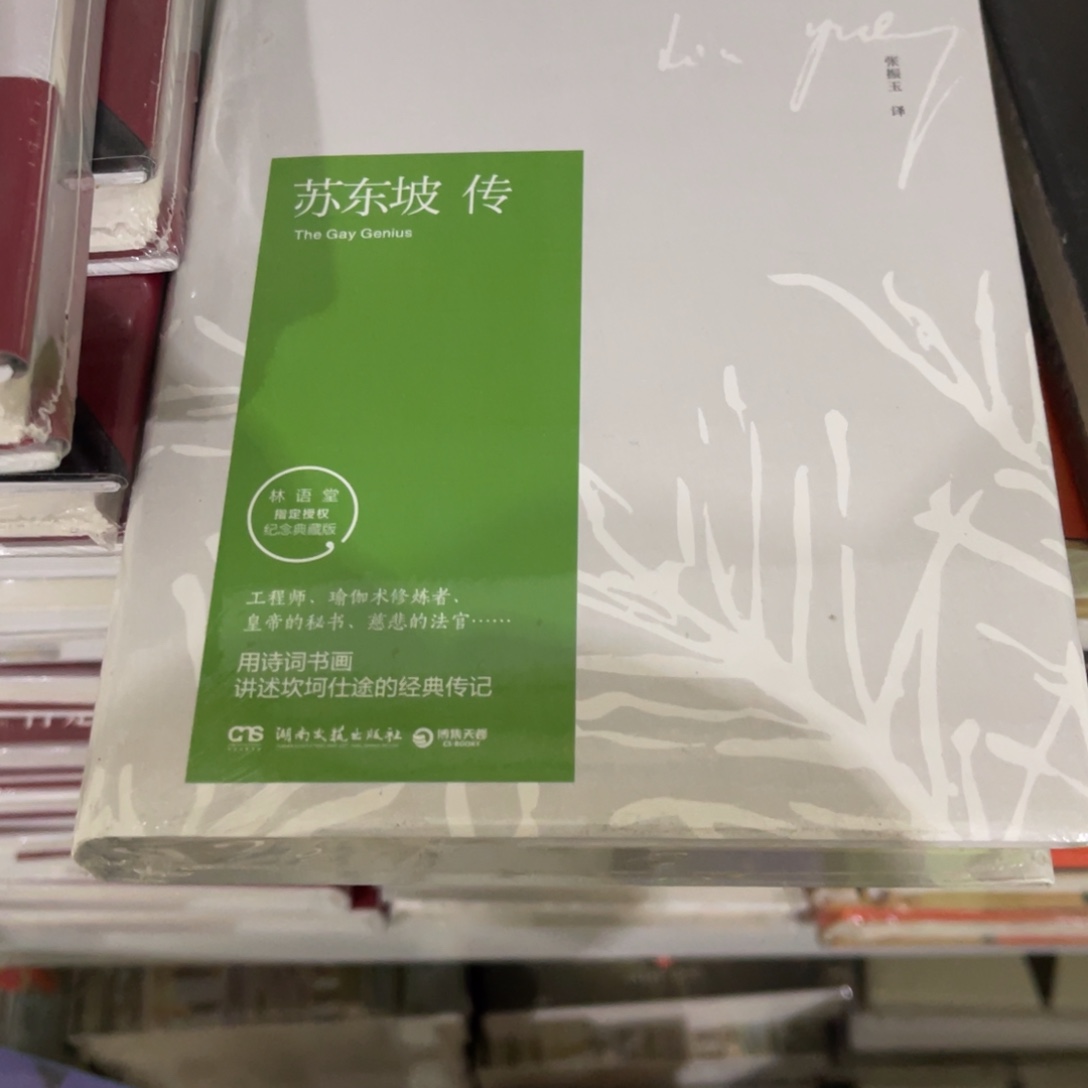 苏东坡转精装一个