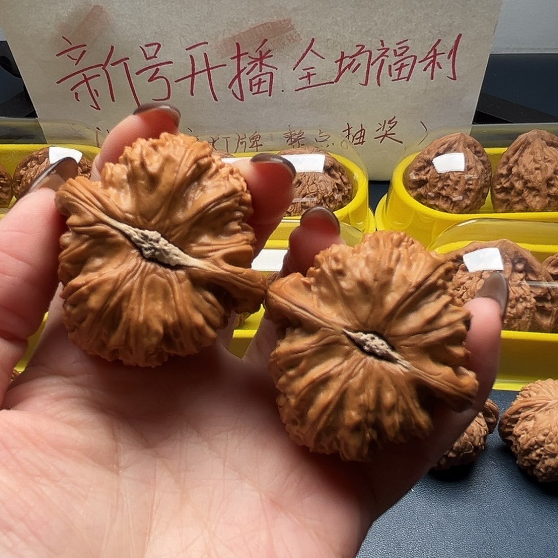 核桃43尺寸球白狮子
