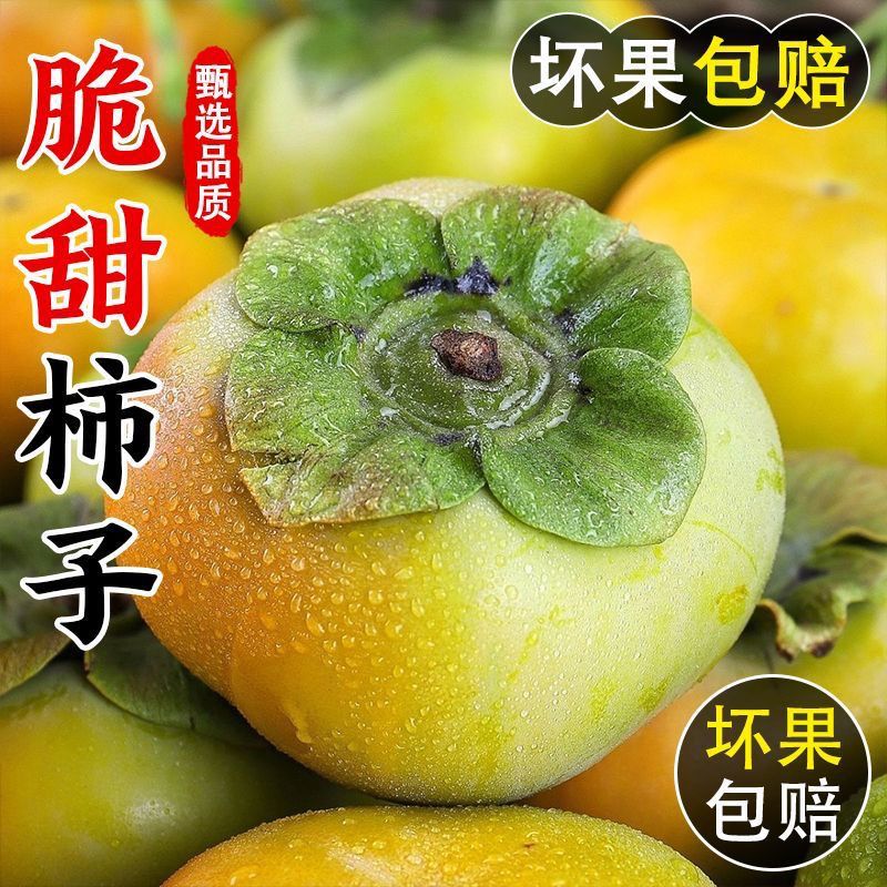 云南高山巧克力糖心脆柿新鲜多汁甜脆可口