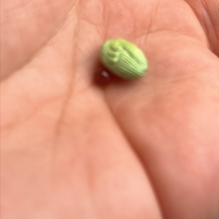 玛瑙/玉髓随机未镶嵌后***丶