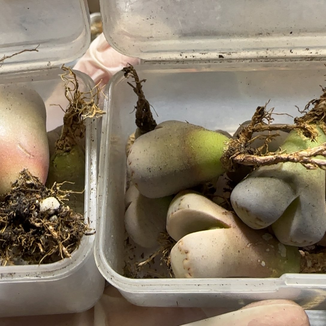 何****ʔ2。8。7015。上播福利。