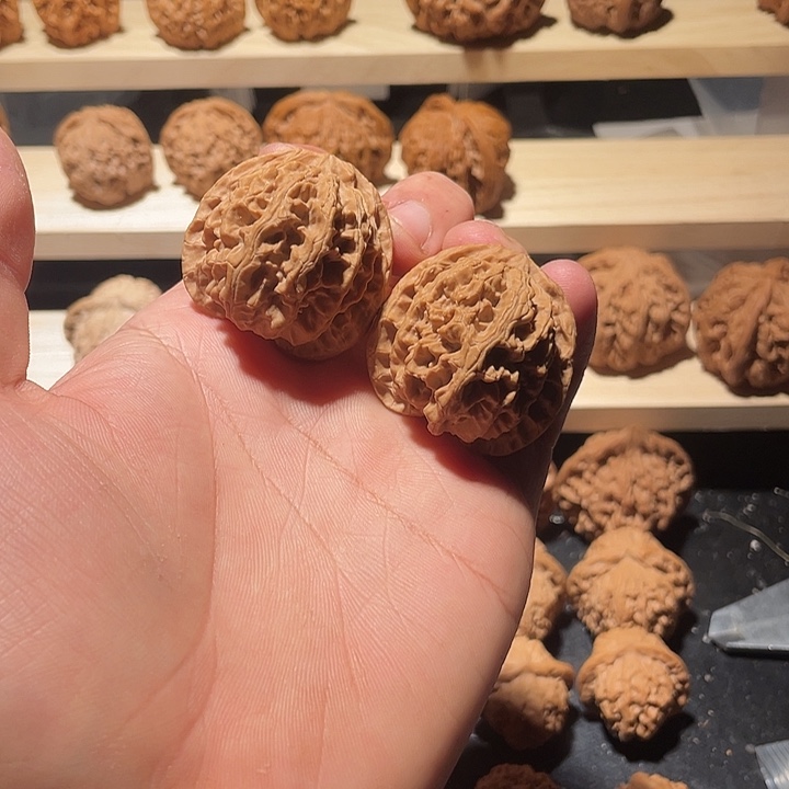 苹果园狮子头38尺全品