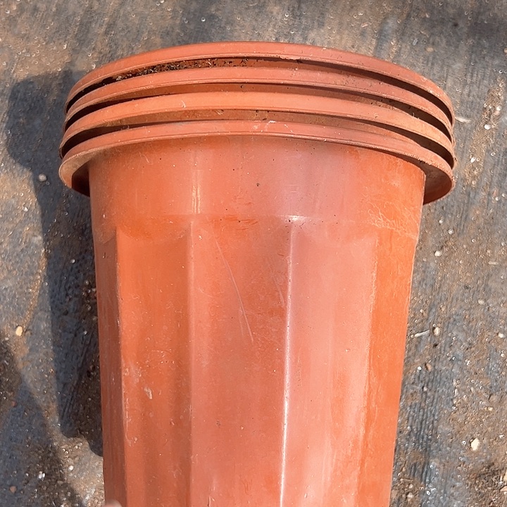 塑料口径20高度18红砖一组10个