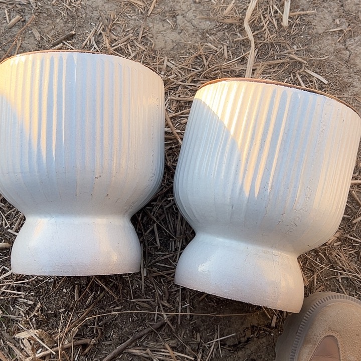 红陶口17高20瑕疵