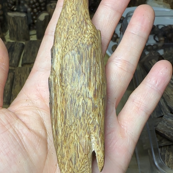 木快***孩白奇陆河天然虫漏20克