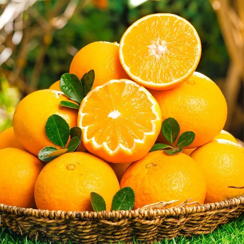 果尚果《双胞胎.小贾专属》正宗四川爱媛38号果冻橙现摘现发