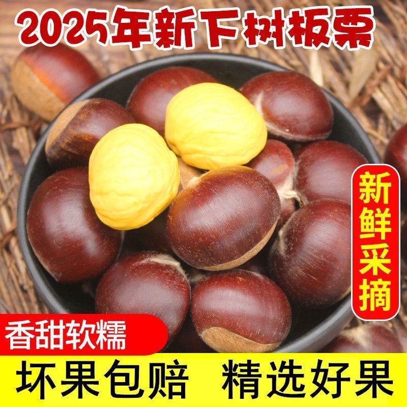 河南高山老树现摘新鲜板栗生板栗饱满粉面填黄瓜香糯甜甜圈