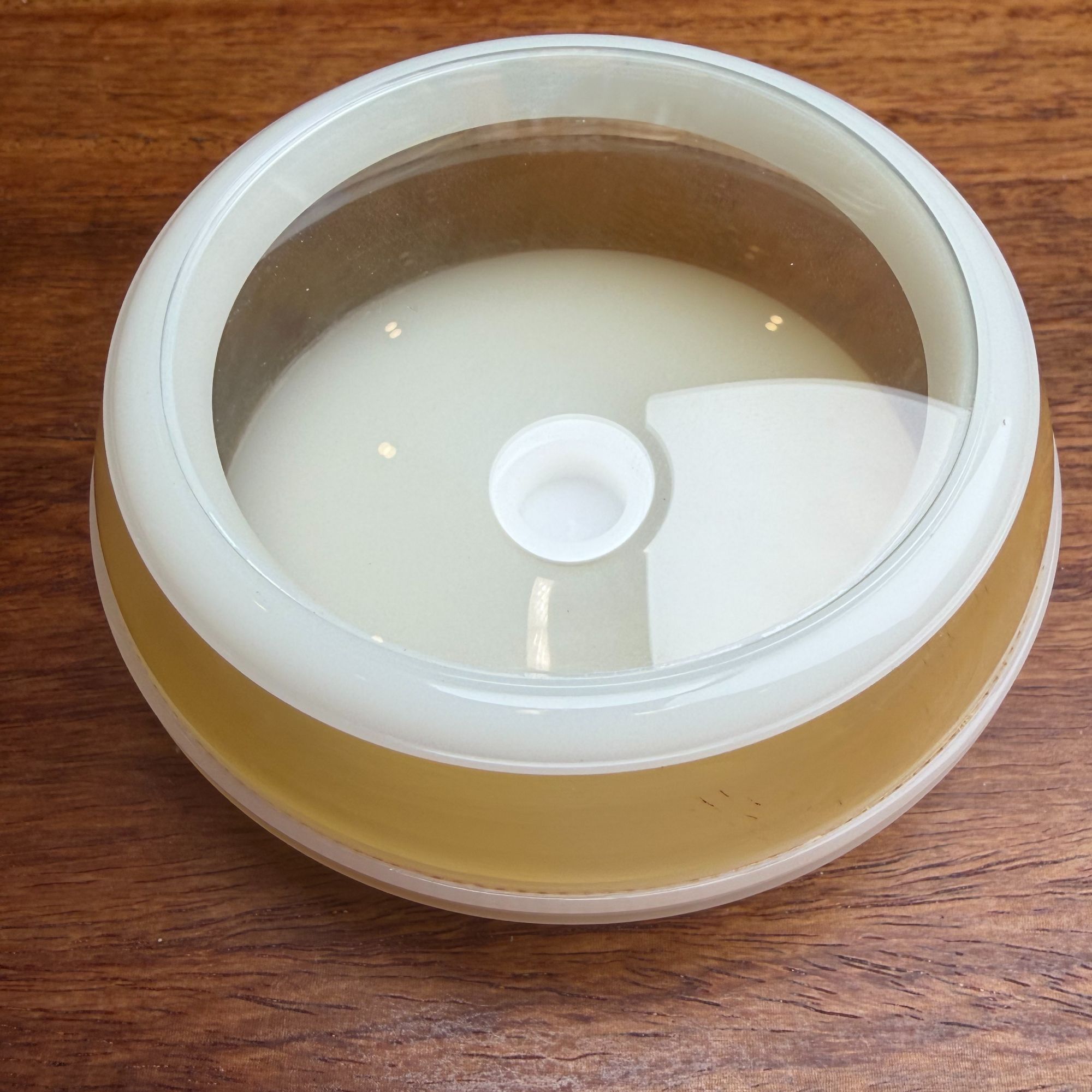 养竹蛉黄玲牛角飞碟虫具（中）