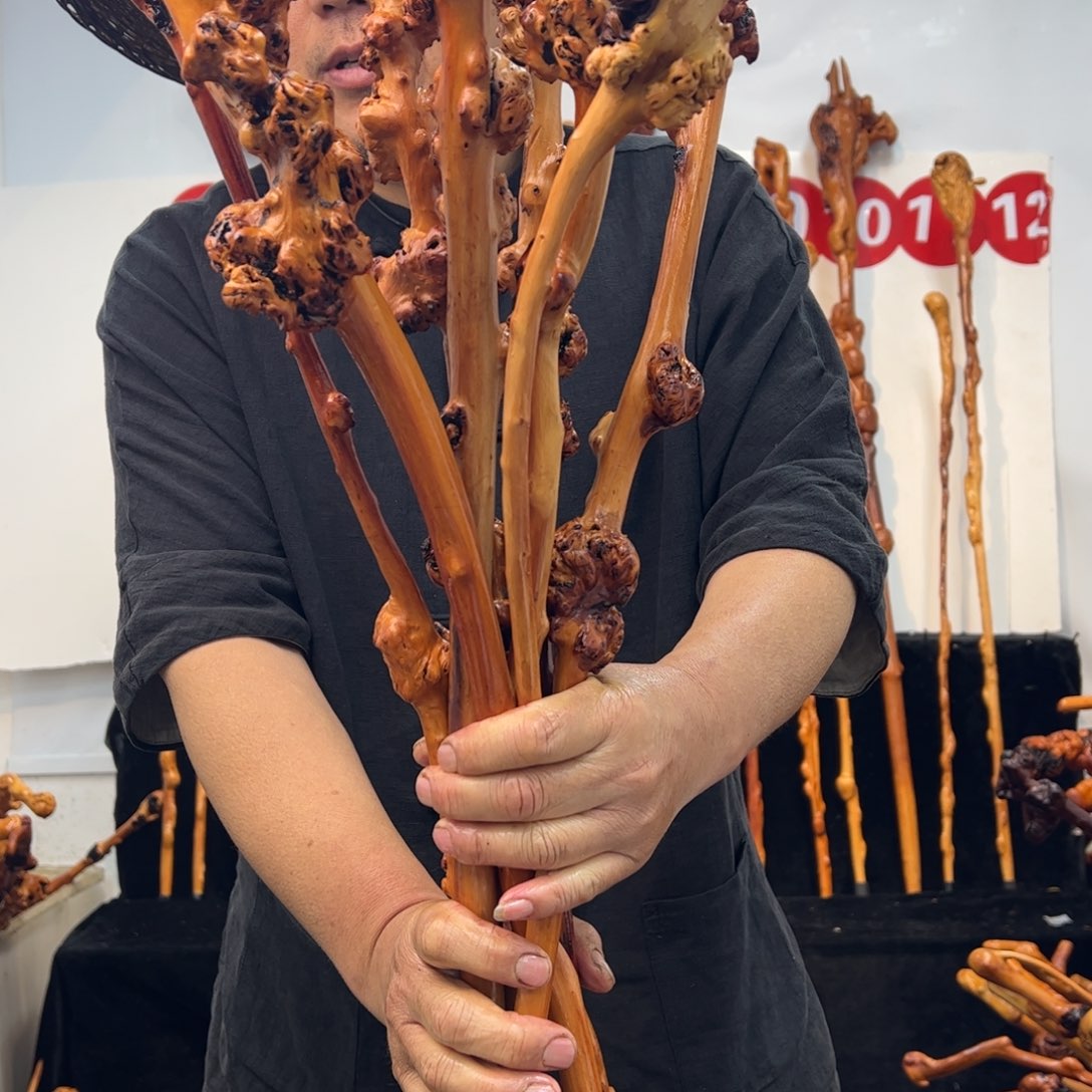 其他黑果木黑果木427