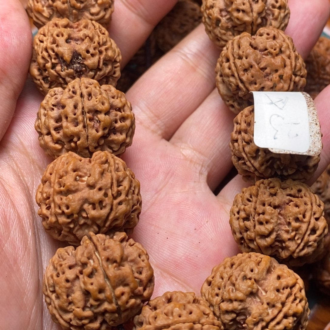 吊坠金刚菩提金刚