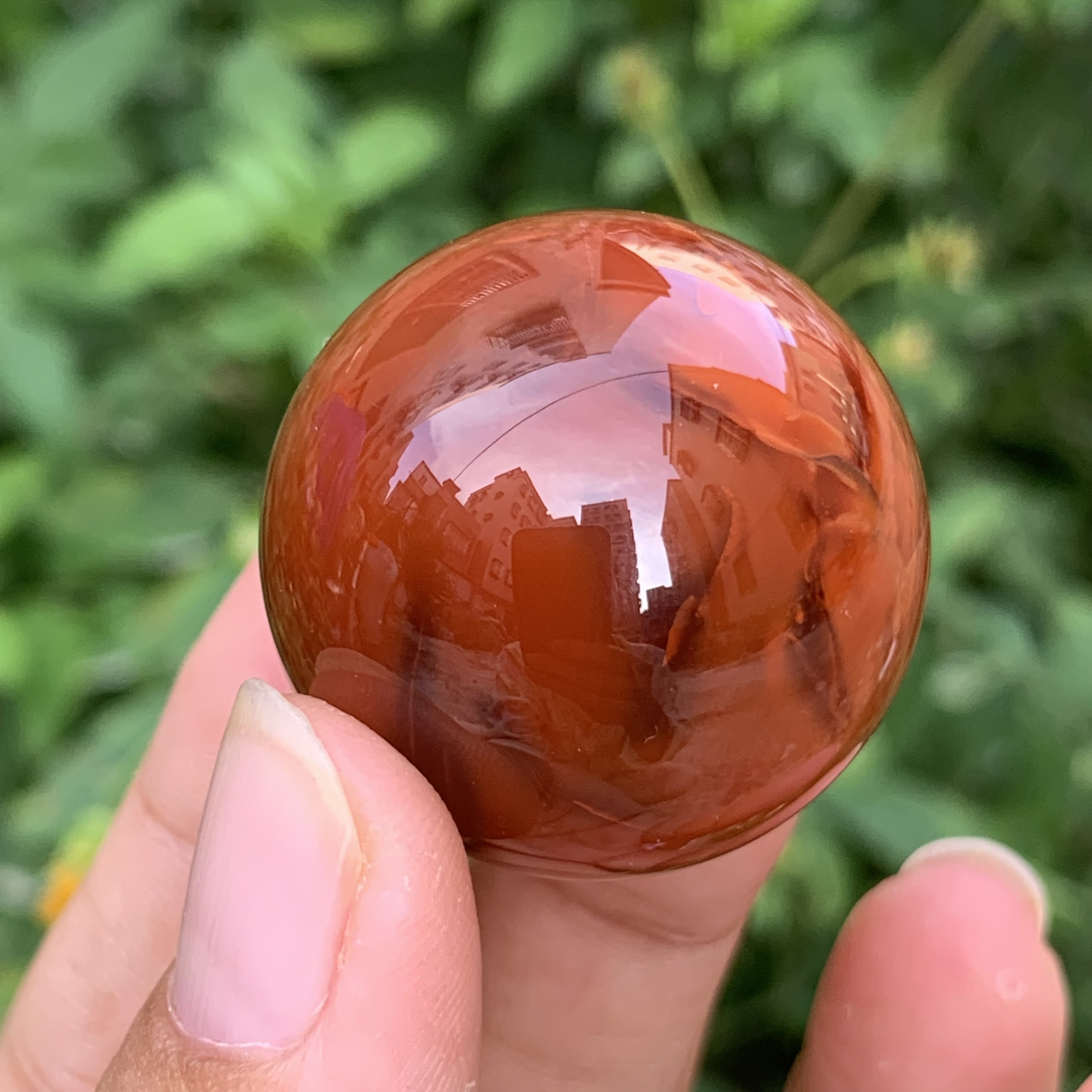 传承全品级 南红瓦西牛血双色妖花大单珠 未打孔 品质难得 30.8mm