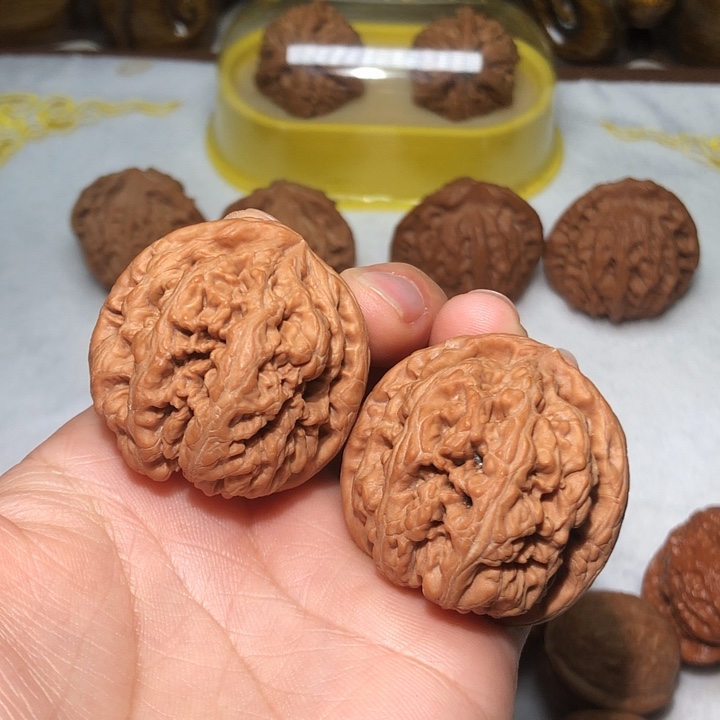 文玩核桃38.5大粗筋
